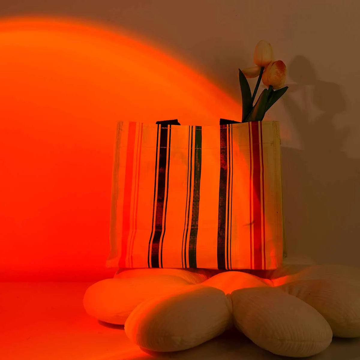 Projection & Mood Lighting